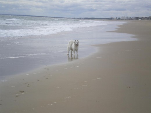 Paseando por la playa :)